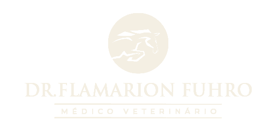 Dr. Flamarion Fuhro